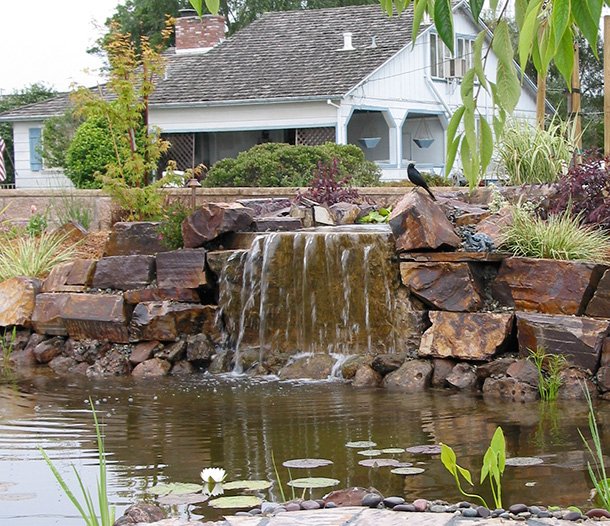 Water Features