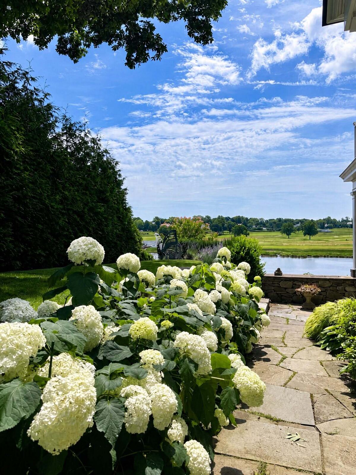 White hydrangeas beside a stone patio overlooking a pond and manicured grounds