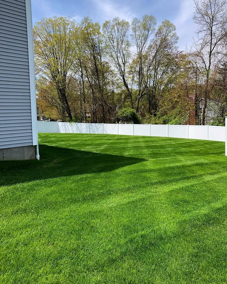 Freshly mowed Fairfield County lawn beside a white privacy fence