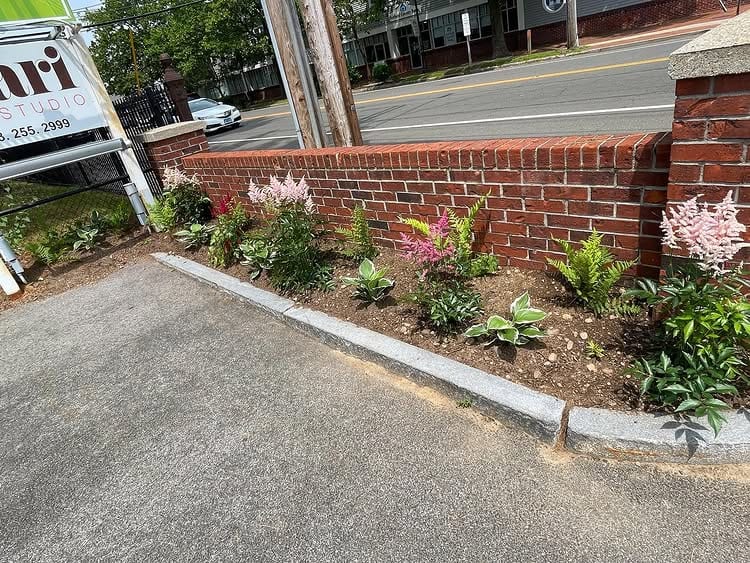 New landscape bed with flowers and edging beside a Fairfield County driveway