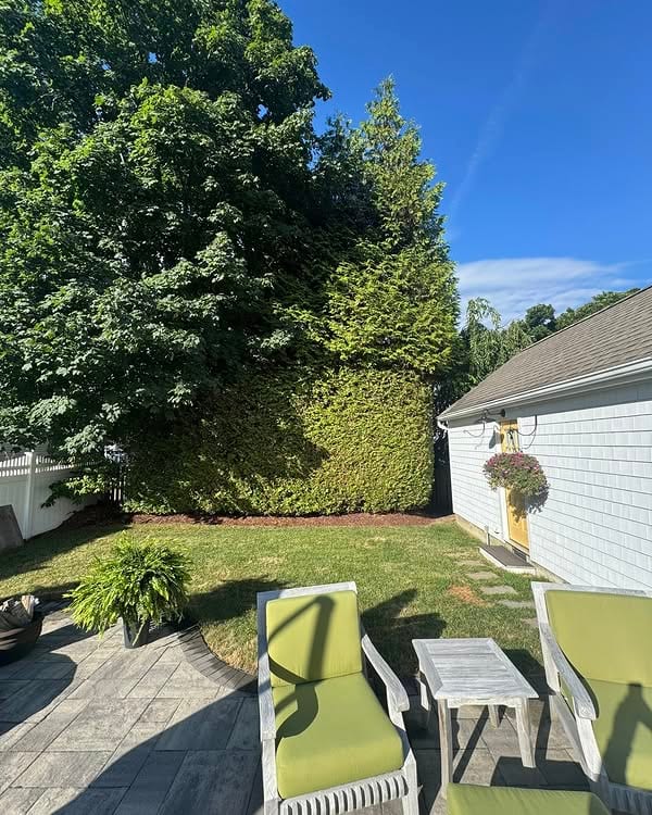 Backyard patio bordered by maintained shrubs and landscape plantings