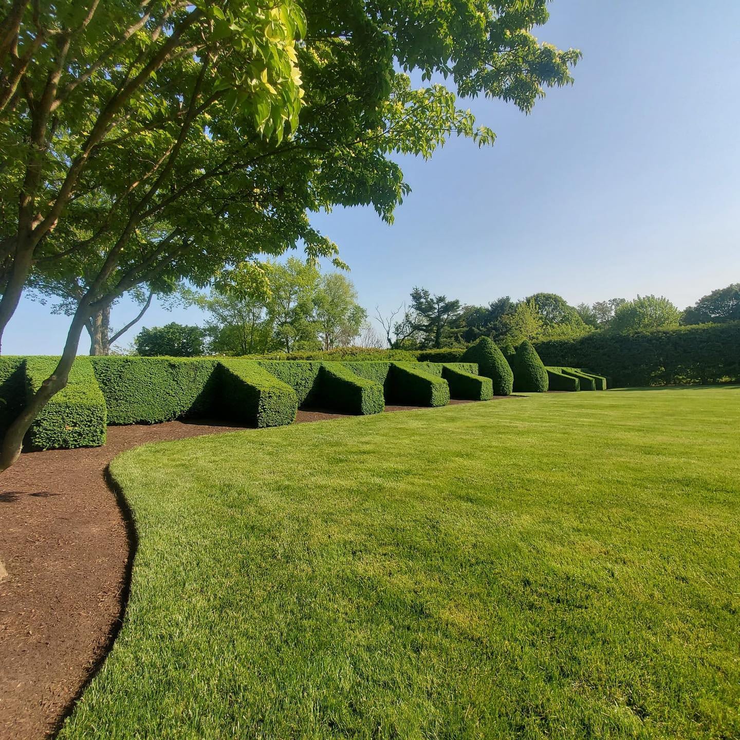 Wide manicured lawn with shaped hedges on a Fairfield County property