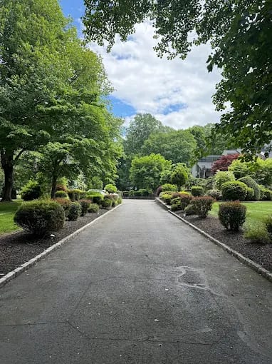 Residential driveway lined with maintained shrubs and landscape beds