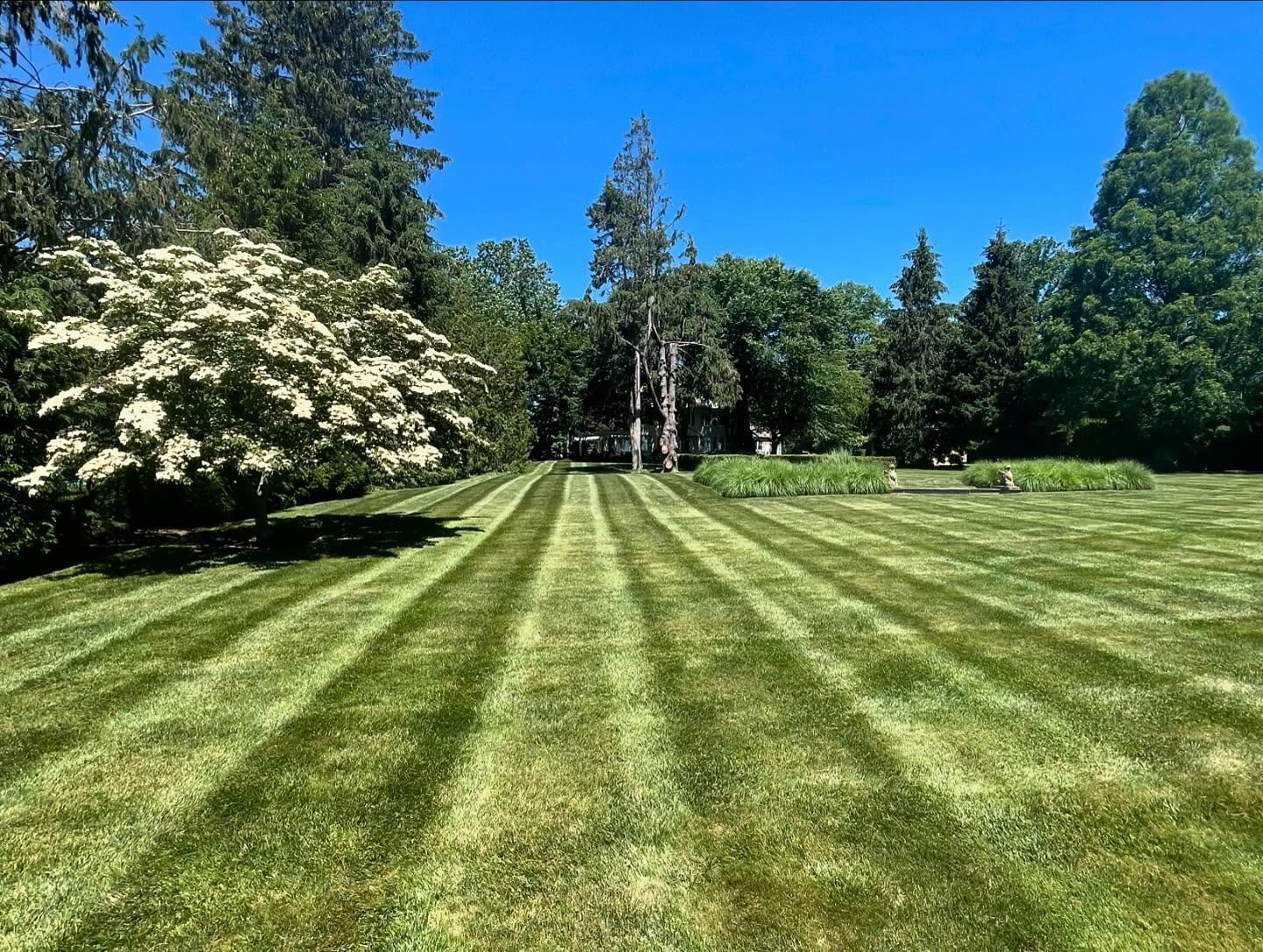 Striped lawn care with flowering trees and mature landscape beds