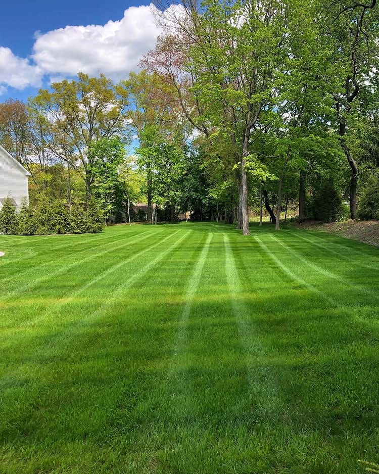 Freshly mowed backyard lawn with clean stripes in Fairfield County