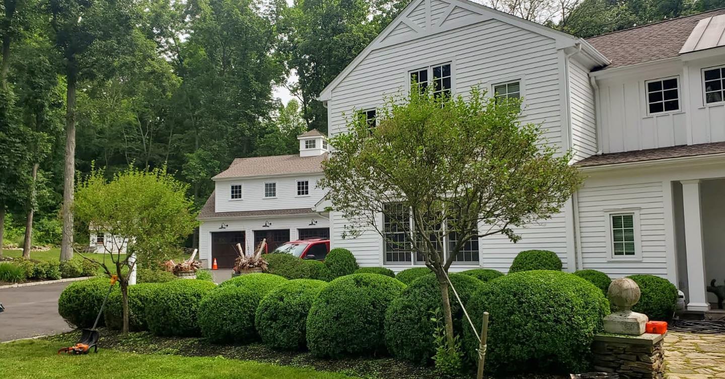 Trimmed boxwood hedge and front yard landscaping at a Fairfield County home
