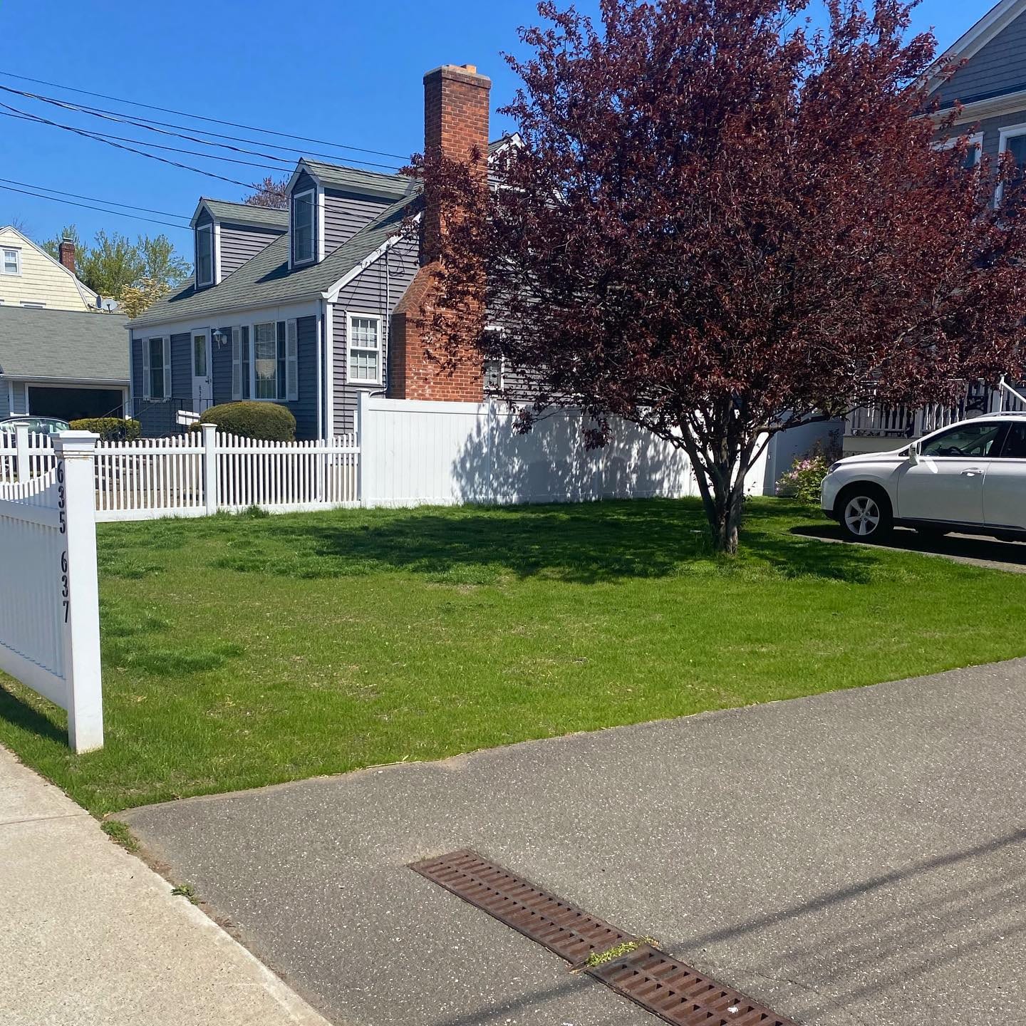 Front yard lawn and ornamental tree maintenance in Fairfield County
