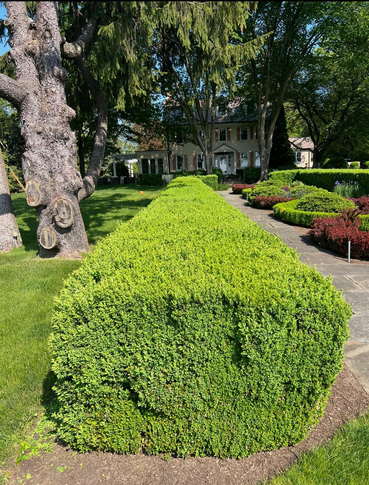 Precision shrub trimming and hedge maintenance in Fairfield County