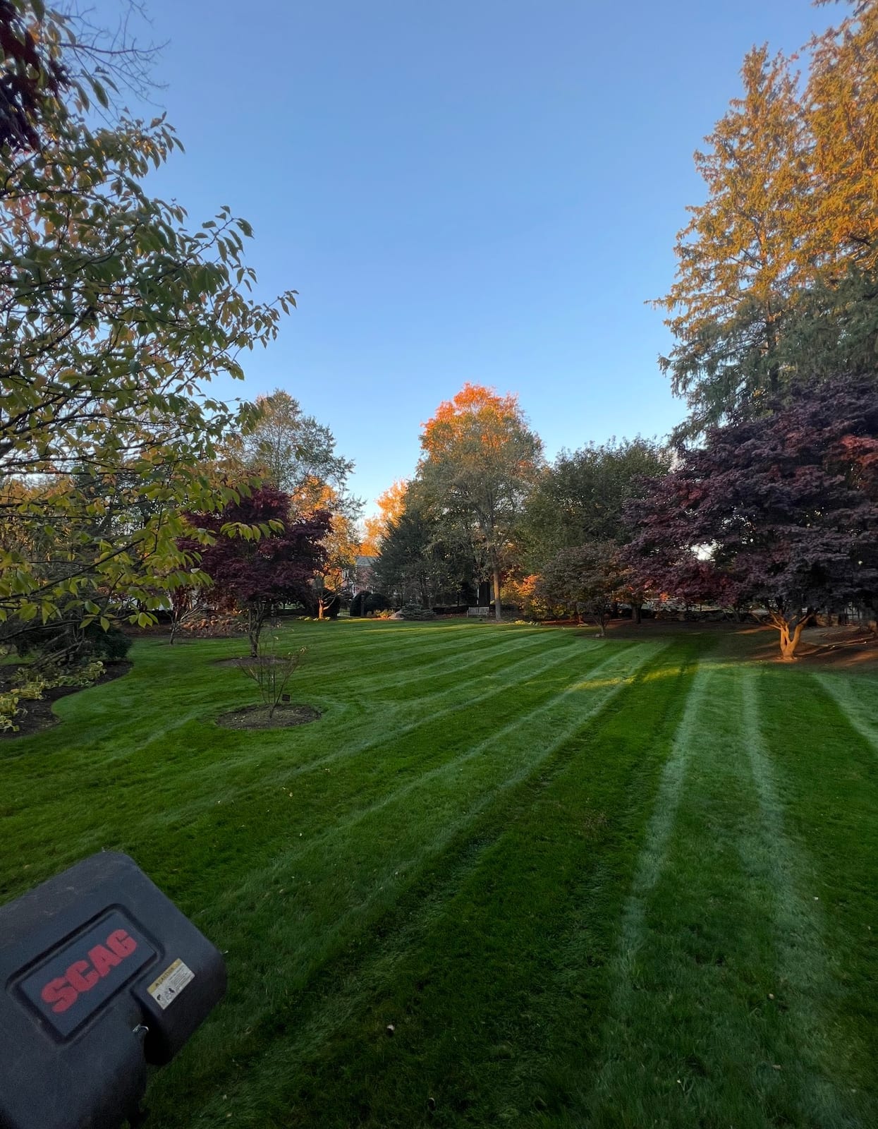 Fresh lawn mowing stripes on a Fairfield County residential property